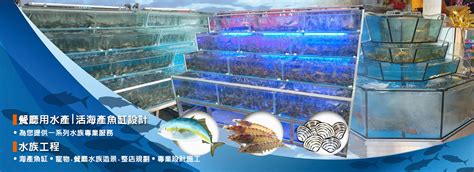 魚缸工廠|水族工程,活海產缸,活海鮮魚缸,餐廳魚缸,水產缸台中魚缸工廠